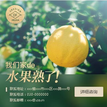 绥德果园果林小程序开发